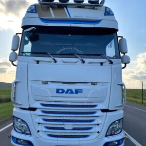 DAF XF 530 MATRÍCULA 3178 LGG