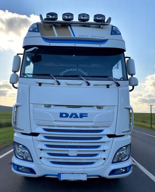 DAF XF 530 MATRÍCULA 3178 LGG